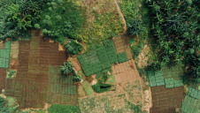 The initiative also enables producers, manufacturers and retailers to better manage inventories and reduce waste while boosting transparency across the supply chain